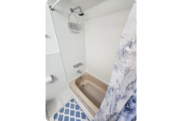 $1200 : 1 Bedroom 1 Bathroom AMOBLADO image 1