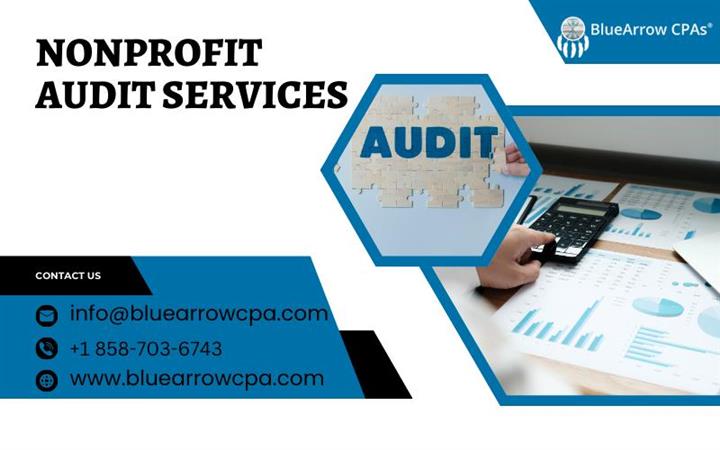 Best Nonprofit Audit Services image 1