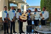 Mariachi aguilas de la barca j thumbnail