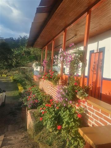 $225000 : VENDO FINCA COLOMBIA QUINDIO image 5