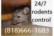 FUMIGACIONES PEST-TERMITE 24/7 en Los Angeles