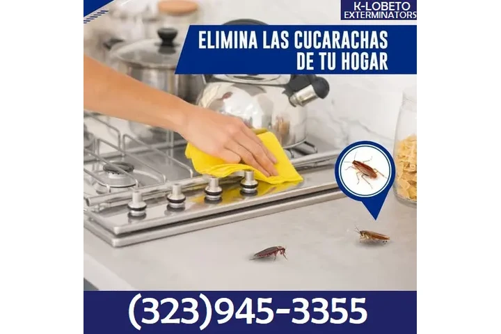 PEST CONTROL MAYWOOD ALL AREAS image 7