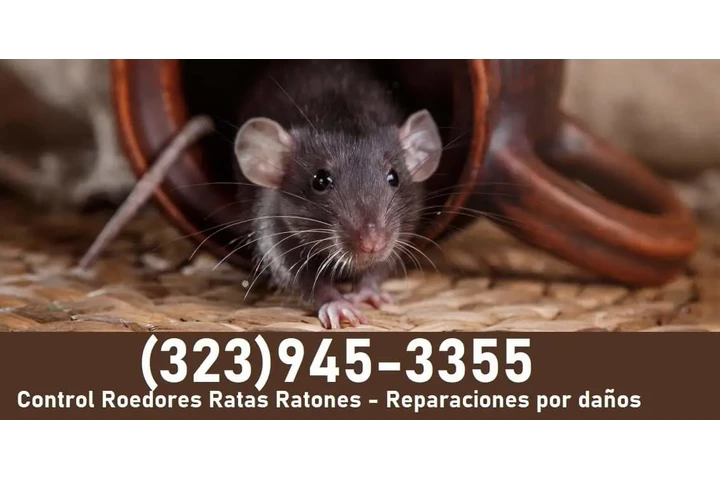 24/7 Rodent's Control-Repairs. image 8