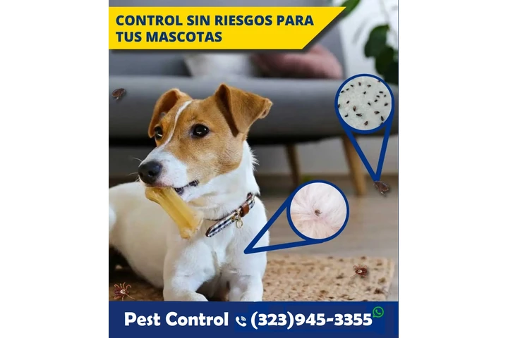 FUMIGACIONES - EXTERMINADORES image 10