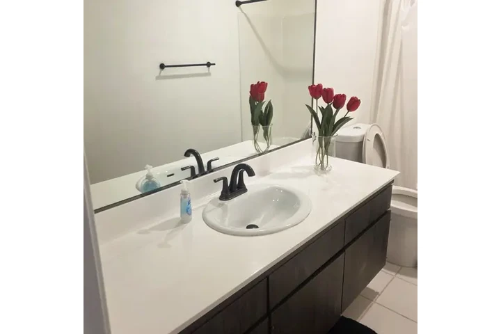 Daimon Solution Service image 8