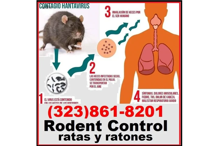 FUMIGACIONES TU HOGAR-NEGOCIOS image 5