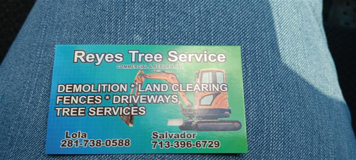 Reyes tree services image 1