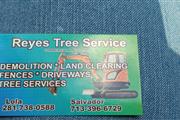 Reyes tree services en Houston