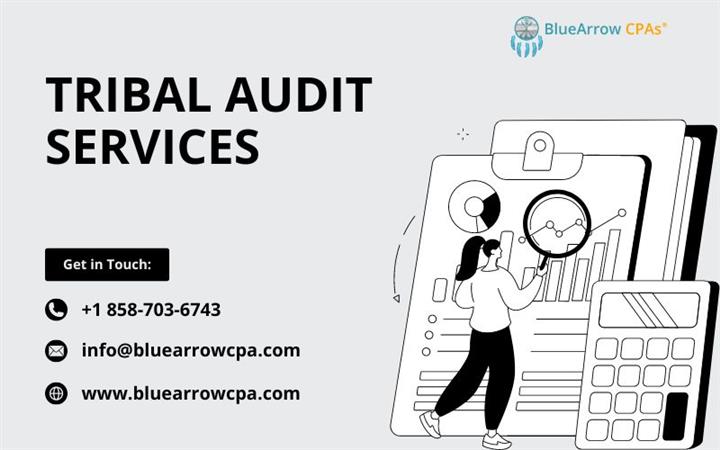 Tribal Audit Services - BAI image 1