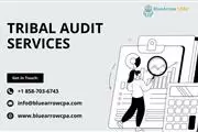 Tribal Audit Services - BAI