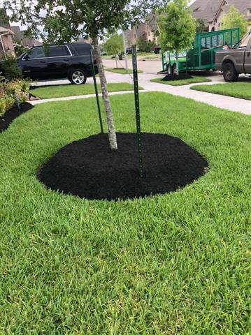 Meliton Landscaping and Tree S image 9