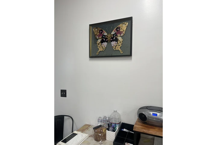 $800 : Espacio comersial image 2