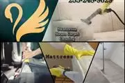 swannessa steam carpet cleanin en Seattle