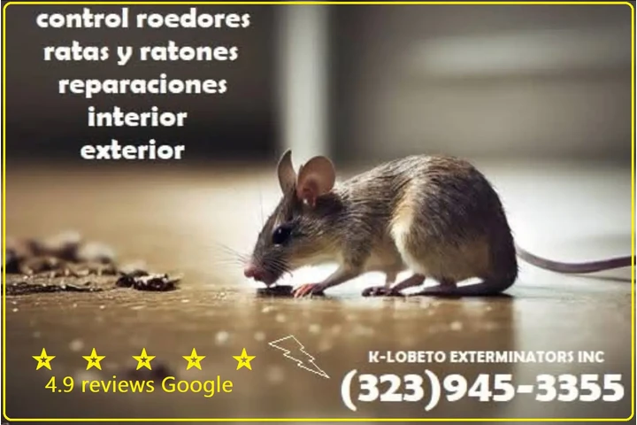 PEST CONTROL SERVICES⭐⭐⭐⭐⭐L.A. image 3