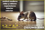 PEST CONTROL SERVICES⭐⭐⭐⭐⭐L.A. thumbnail