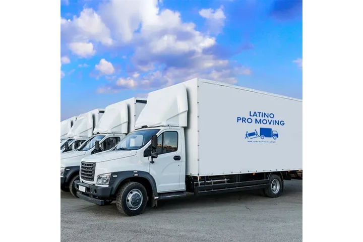 Latino Pro Moving image 2