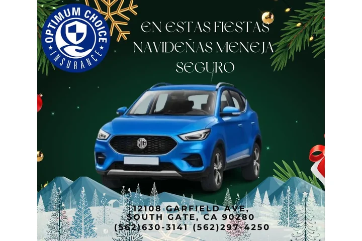 AUTO INSURANCE Y REGISTRACION image 1