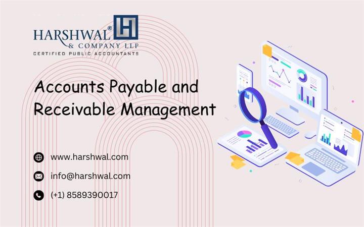 Accounts Payable & Receivable image 1