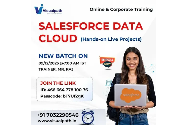 New Batch Alert : Learn Salesf image 1