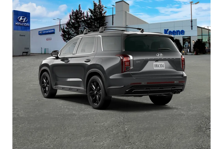 $33995 : Hyundai PALISADE 2023 AWD XR image 5
