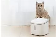 tecnicos para comederos gatos