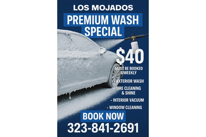 Los Mojados premium car wash image 2