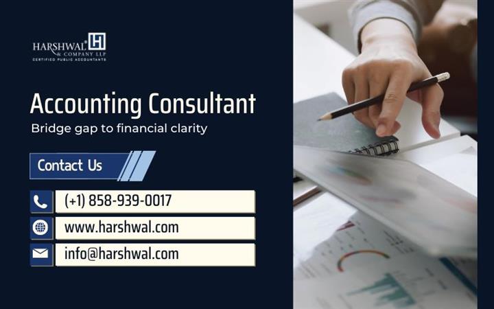 accounting consultant image 1