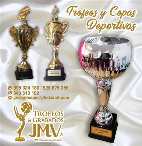 TROFEOS Y COPAS JMV image 1