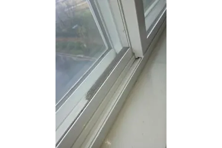 LIMPIEZA PROFESIONAL image 2