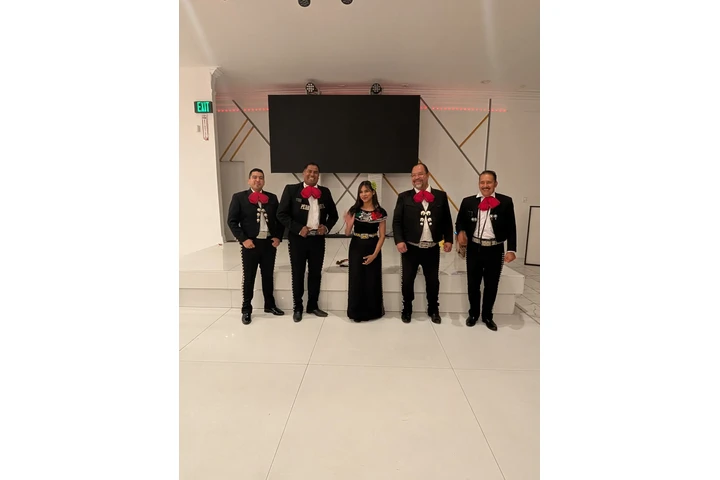 Mariachi pedregal 213 9921117 image 1