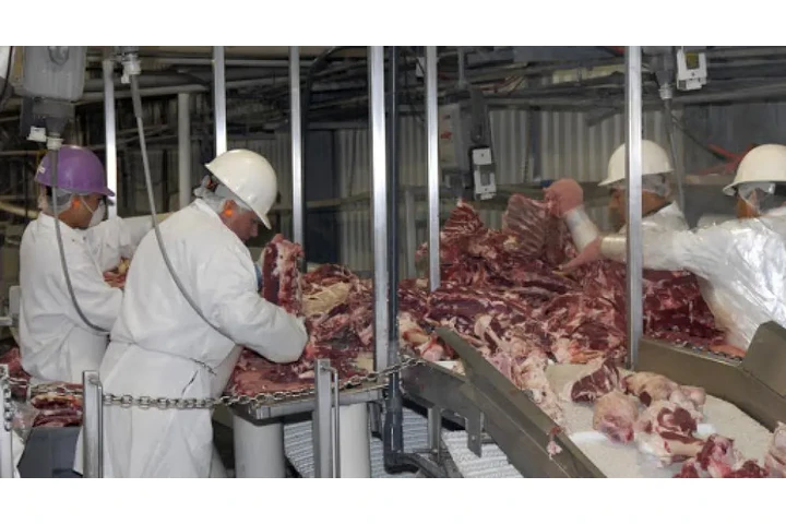 ¡OPORTUNIDAD DE EMPLEO!–VERNON image 3