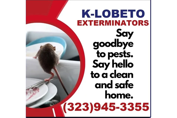 Fumigation - local treatment. image 5