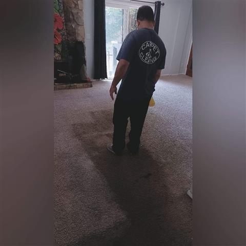 Carpet Cleaning💦747-465-3402☎ image 8
