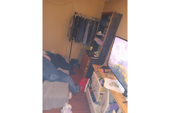 SHINE AND SPARKLE image 6