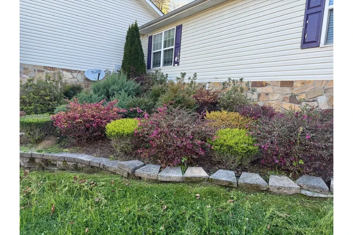 Diaz Lawn Care And Landscaping image 4
