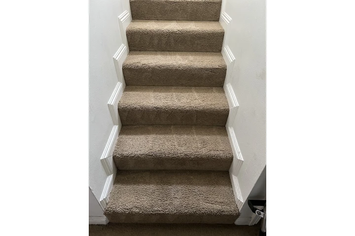 Carpet Cleaning image 8