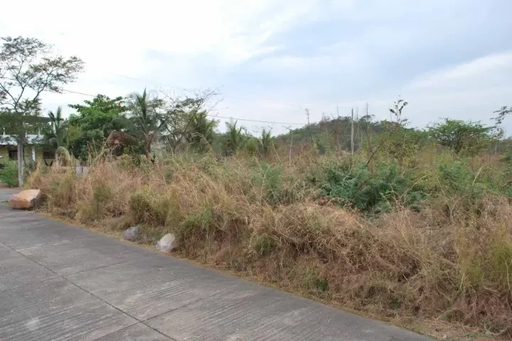 $1 : Terreno en venta en Puerto Que image 4