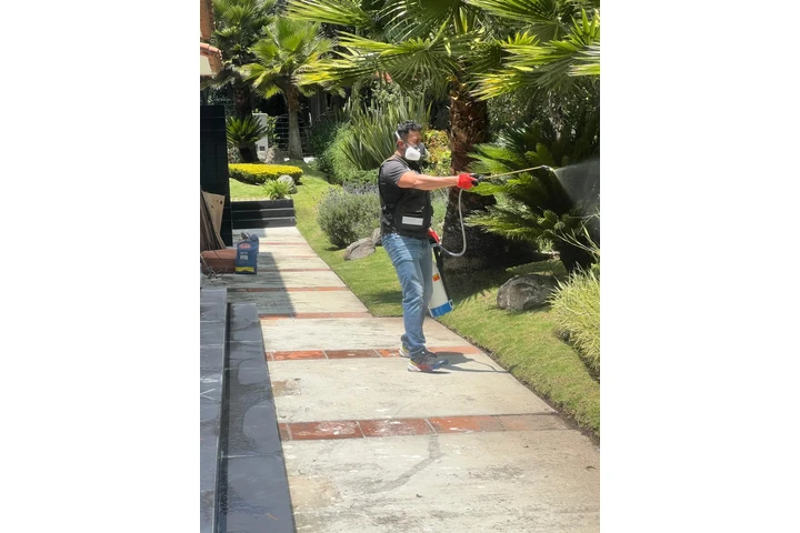 Fumigacion image 2