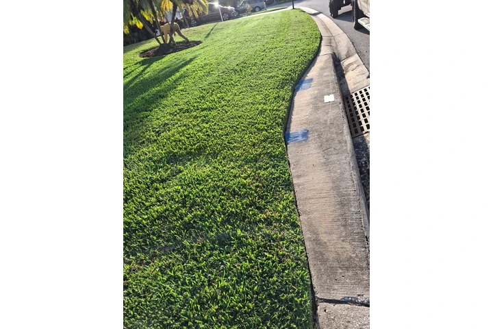 LANDSCAPING NEAR ME image 1