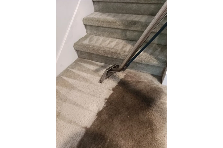 CARPET CLEANING 818-979-5338☎️ image 9