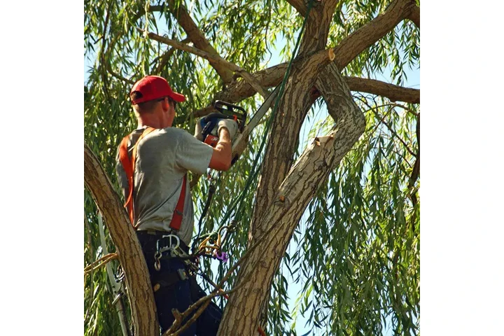 AB Landscaping Inc image 3