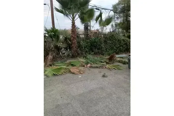 CANALEZ GARDENING SERVICES image 2