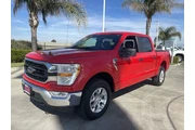 Ford F-150 2021 4x4 XL 4dr S en Kings County