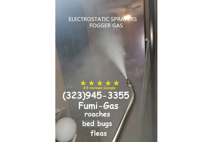 Urgent Pest Control - Same-Day image 4