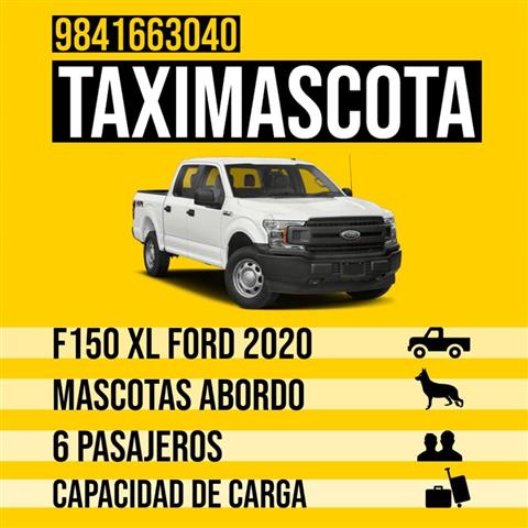 taximascota image 1