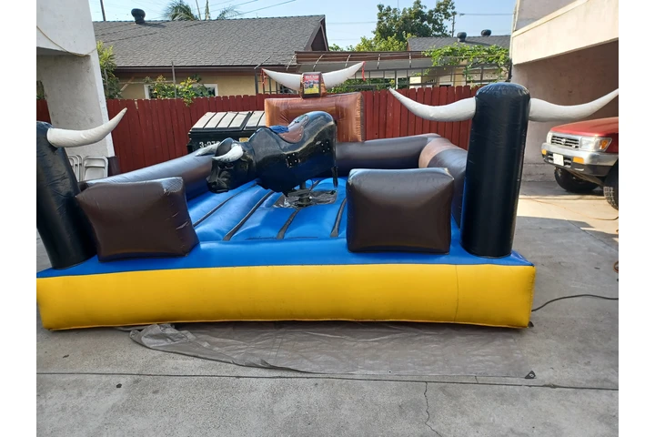 TOROS*WATER SLIDES*CARPAS image 10