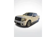 Ford F-150 2010 4x2 XLT 4dr en Tampa