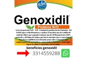 Descubre Genoxidil, ANTIOXIDAN thumbnail