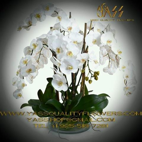 Yass HIgh Quality Flowers image 5