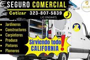 INSURANCE // SEGUROS en CALIF en Los Angeles